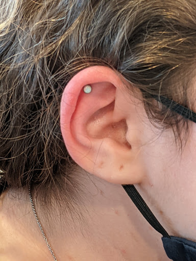 Explore system of a down tattoo ideas, creative tattoo ideas in Chesapeake, available at Finders Keepers Body Piercing