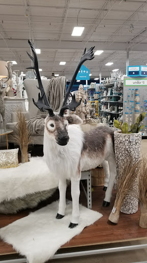 Shopping Mall «Brick Plaza Shopping Center», reviews and photos, 159 Van Zile Rd, Brick, NJ 08724, USA