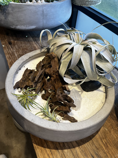 Florist «Camelback Flowershop», reviews and photos, 4108 E Indian School Rd, Phoenix, AZ 85018, USA