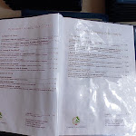 Photo n°2 de l'avis de Andrea.u fait le 09/06/2023 à 15:46 sur le  Ristorante Camping Cala Ginepro à Cala Liberotto