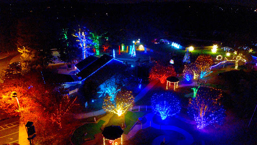 Ice & Lights: The Winter Village at Cameron Run