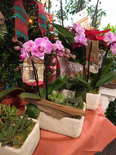 Florist «A Whole Bunch Flower Market», reviews and photos, 326 Cambridge St, Burlington, MA 01803, USA