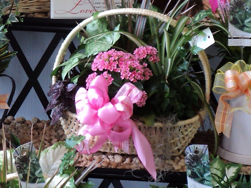 Florist «Sparrows Nest Flower Shop LLC», reviews and photos, 65 Sylvania Ave, Neptune City, NJ 07753, USA
