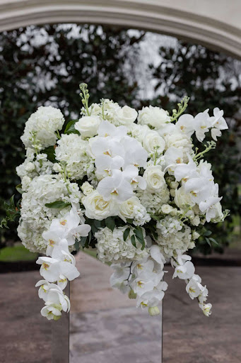 Florist «Bella Flora of Dallas», reviews and photos, 118 Oak Lawn Ave, Dallas, TX 75207, USA