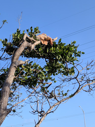 Aquarium «Florida Keys Aquarium Encounters», reviews and photos, 11710 Overseas Hwy, Marathon, FL 33050, USA