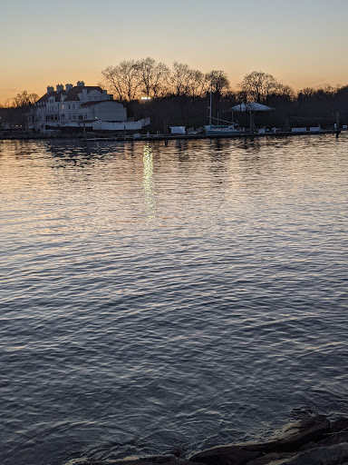 Supermarket «The Harrison Market», reviews and photos, 355 Halstead Ave, Harrison, NY 10528, USA