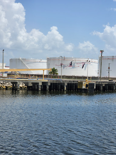 Boat Tour Agency «Dolphin Snorkeling Cruise», reviews and photos, 4630 29th Ave S, Gulfport, FL 33711, USA