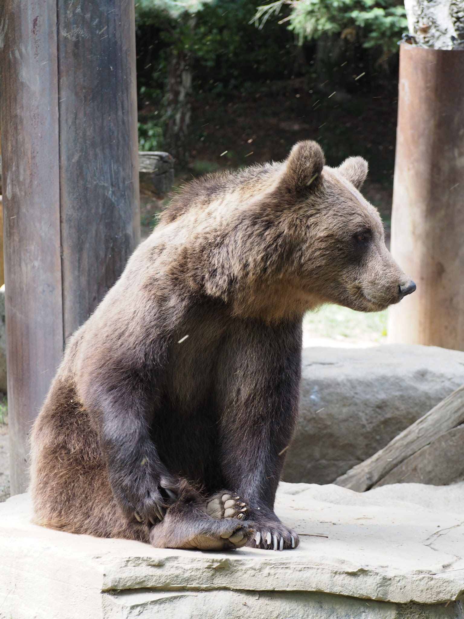 Photo n° 6 de l'avis de Carole. fait le 22/08/2022 à 21:38