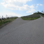 Photo n°2 de l'avis de Maik.r fait le 12/07/2018 à 10:17 sur le  Heuchelberger Warte à Leingarten