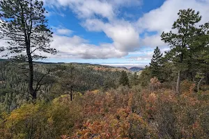 Lincoln National Forest image