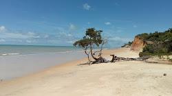 Photo de Plage d'Imbassuaba situé dans une zone naturelle