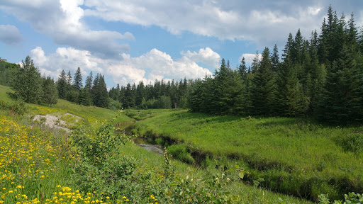 Larch Sanctuary