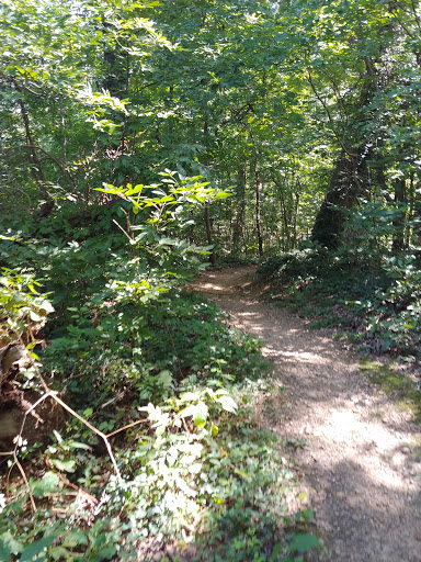 Mount Vernon District Park Library Trailhead