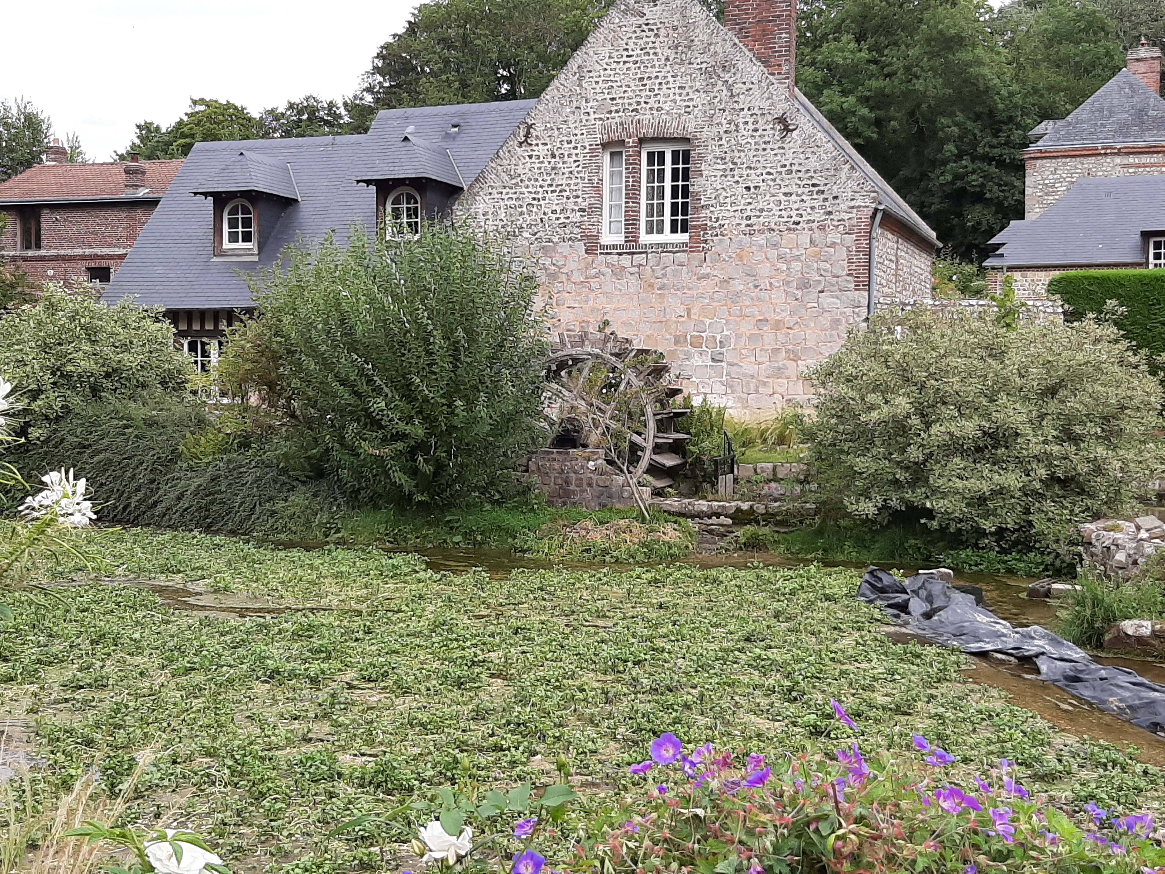 Photo n° 8 de l'avis de Irene.r fait le 09/09/2019 à 16:03