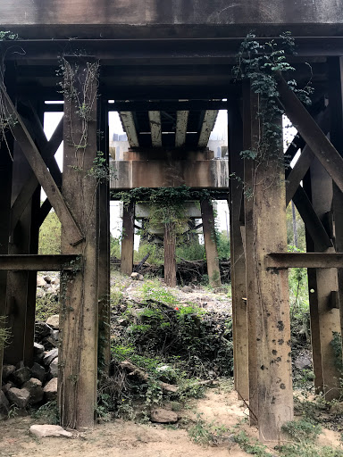 Nature Preserve «Frenchtown Rd Conservation Area», reviews and photos, 17819 Frenchtown Rd, Central, LA 70739, USA