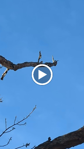 Educational Institution «The Audubon Society of Rhode Island Environmental Education Center», reviews and photos, 1401 Hope St, Bristol, RI 02809, USA