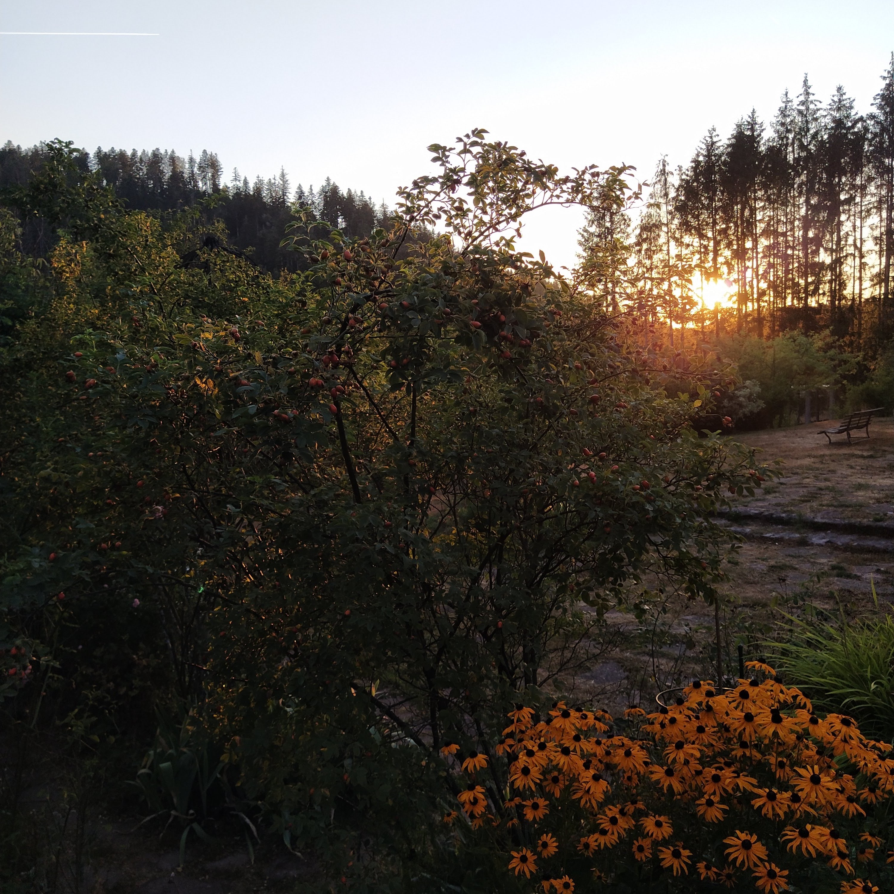 Photo n° 2 de l'avis de gindrey.a fait le 04/09/2022 à 18:39