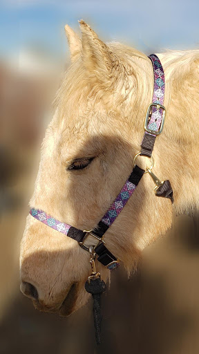 Employment Attorney «Rathod Mohamedbhai LLC», reviews and photos