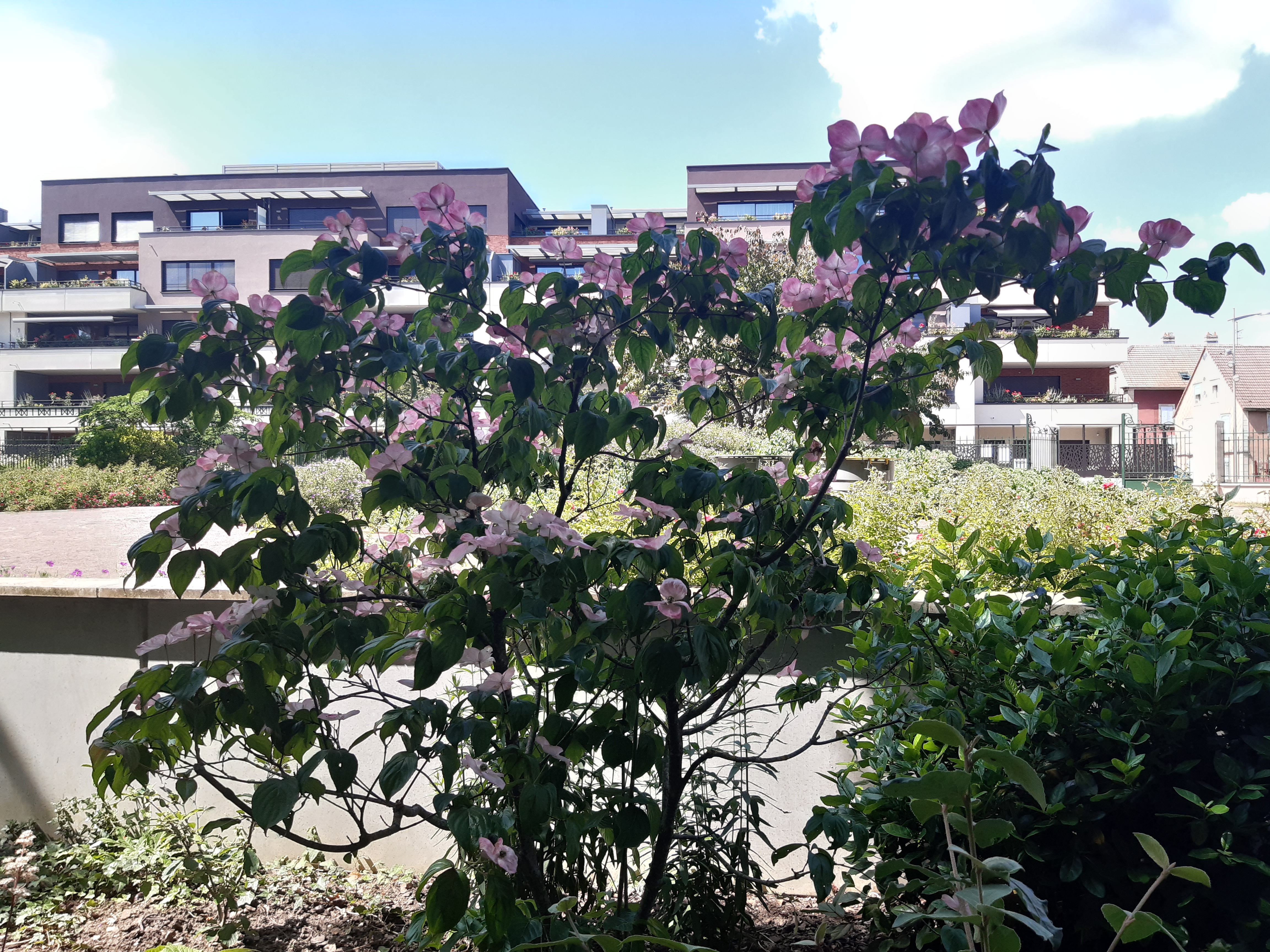 Photo n° 4 de l'avis de Didier.A fait le 13/06/2023 à 14:04
