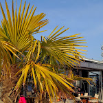 Photo n°1 de l'avis de Oliver.i fait le 09/04/2023 à 17:10 sur le  Kaphörnchen und Eishörnchen am Stadthafen à Schleswig