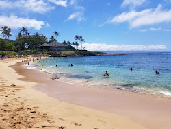 Kapalua Koyu Plajı'in fotoğrafı geniş ile birlikte