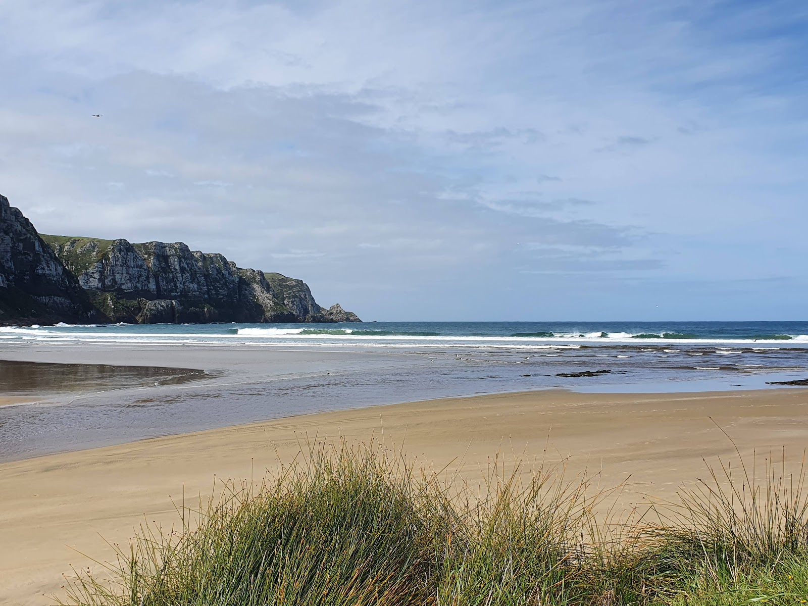 Foto di Purakaunui Bay Beach - luogo popolare tra gli intenditori del relax