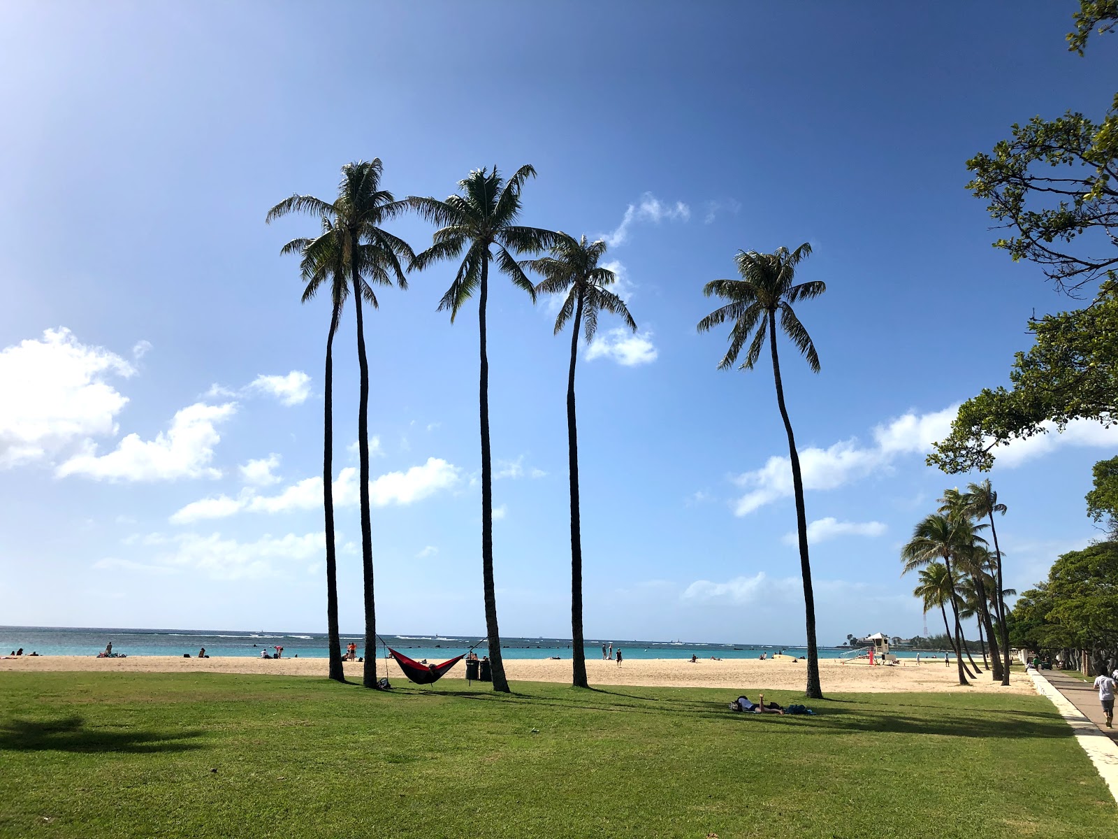 Ala Moana Beach photo #4