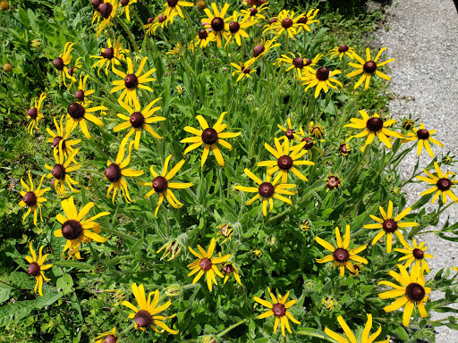 Golf Club «Links Golf Club», reviews and photos, 8706 Pavilion Dr, Hudson, FL 34667, USA