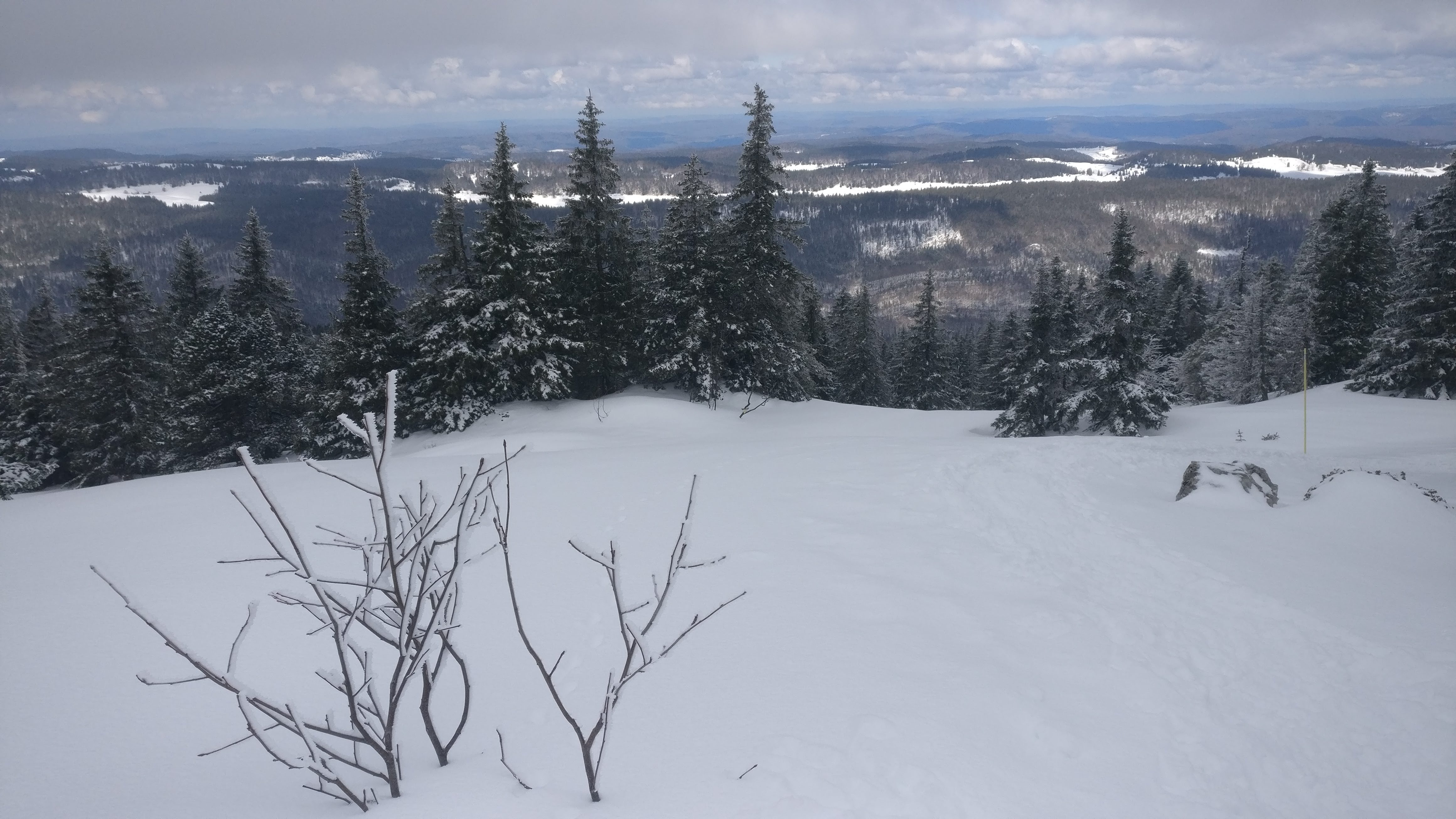 Photo n° 3 de l'avis de Fabrice.H fait le 21/03/2019 à 16:03