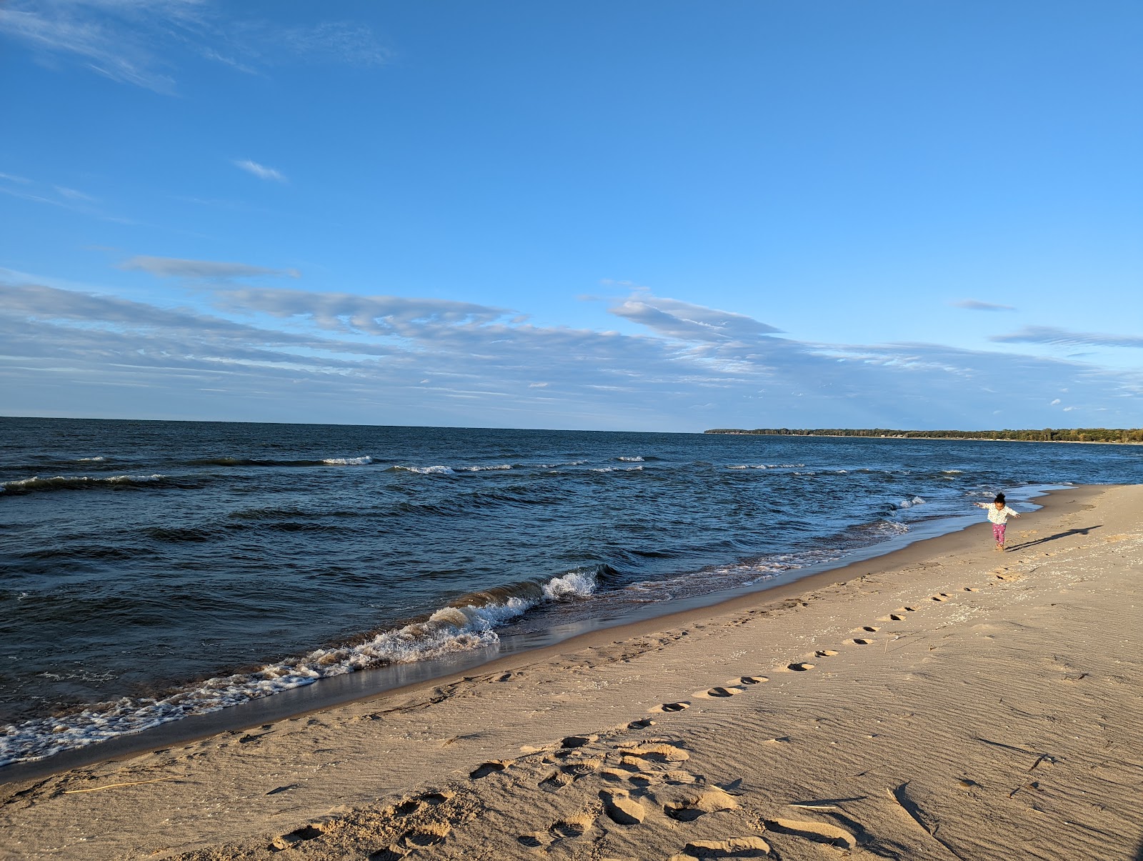 Port Crescent State Park Beach photo #8
