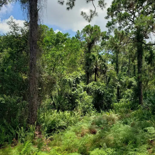 Nature Preserve «Tall Cypress Natural Area», reviews and photos, 3700 Turtle Run Blvd, Coral Springs, FL 33065, USA