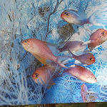 Photo n° 2 de l'avis de chantal.o fait le 17/07/2022 à 11:14 pour Les Jardins de Bernadette à Le