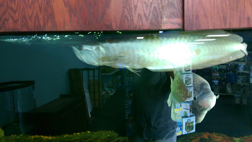 Pet Store «The Aquarium & Fish Store», reviews and photos, 710 W Lumsden Rd, Brandon, FL 33511, USA