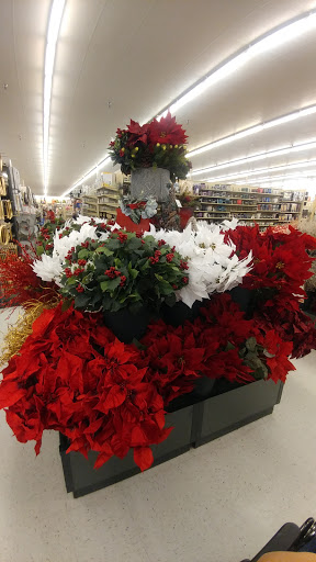 Craft Store «Hobby Lobby», reviews and photos, 8615 Little Rd, New Port Richey, FL 34654, USA