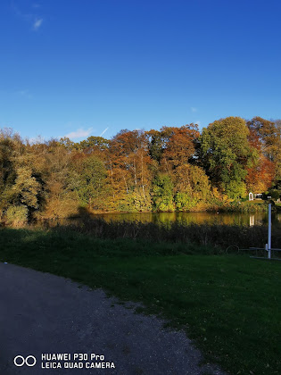 Paysage Ferienwohnung Ferienwohnung 