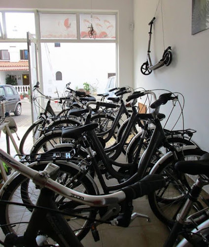 Bazar Flamingo and Bike rental service - Loja de bicicleta