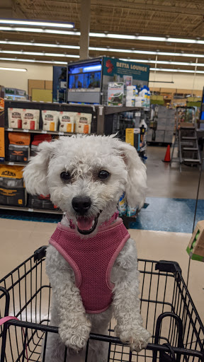 Pet Supply Store «Petco Animal Supplies», reviews and photos, 10315 E Shelby Dr, Collierville, TN 38017, USA
