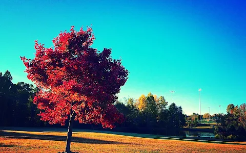 Parrish Womble Park image