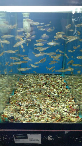 Pet Store «M V Pets», reviews and photos, 7429 S Westnedge Ave, Portage, MI 49002, USA