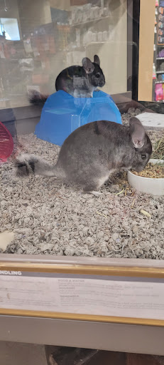 Pet Supply Store «Petco Animal Supplies», reviews and photos, 3975 Cascades Blvd #30, Kent, OH 44240, USA