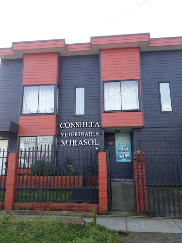 Opiniones de Consulta Veterinaria Mirasol en Puerto Montt - Veterinario
