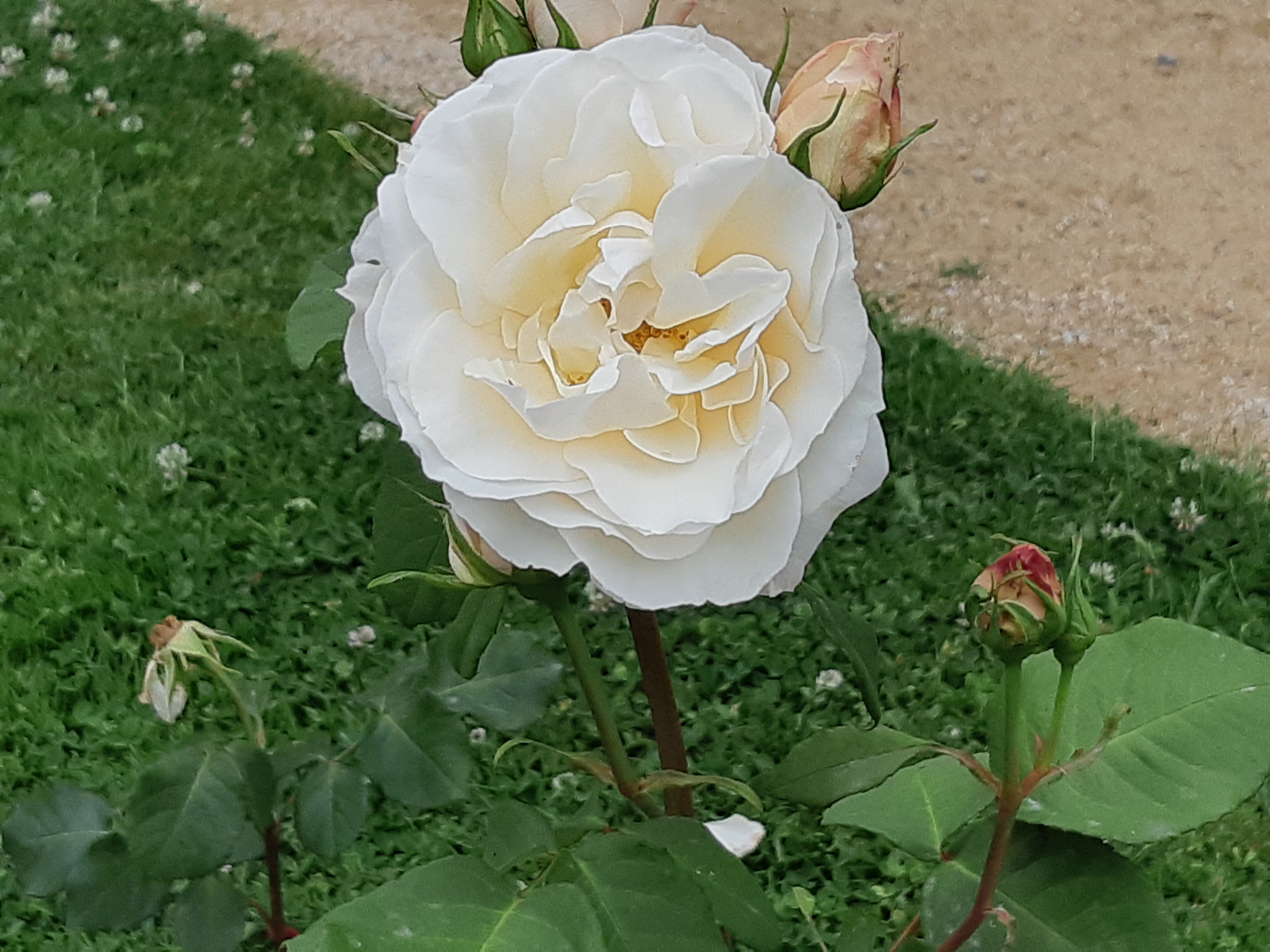 Photo n° 15 de l'avis de Adrien.a fait le 16/06/2021 à 16:36