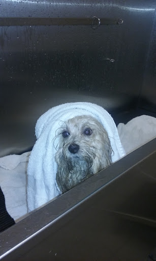 Pet Supply Store «Pet Supplies Plus», reviews and photos, 803 Hillcrest Rd, Mobile, AL 36695, USA