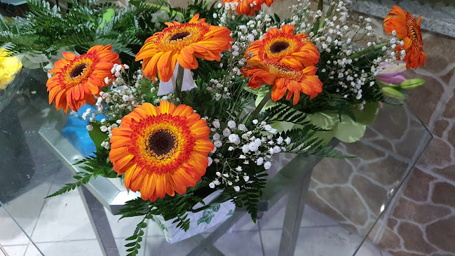 Opinii despre Florista Vila Flor în Seia - Mercado