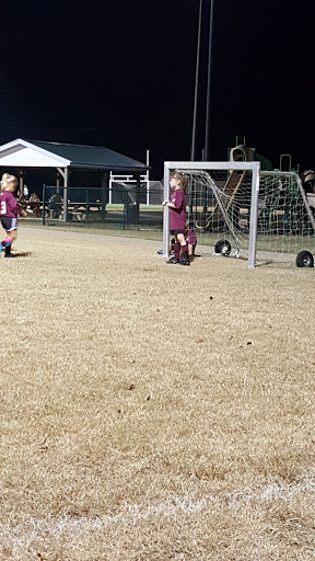 Auto Parts Store «AutoZone», reviews and photos, 623 N Main St, Russellville, KY 42276, USA