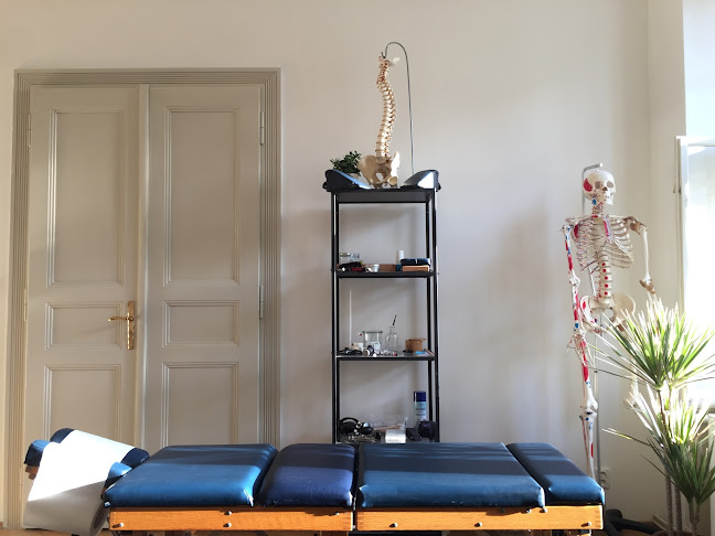 Reviews of Chiropractic Bench Repair in Bournemouth - Other