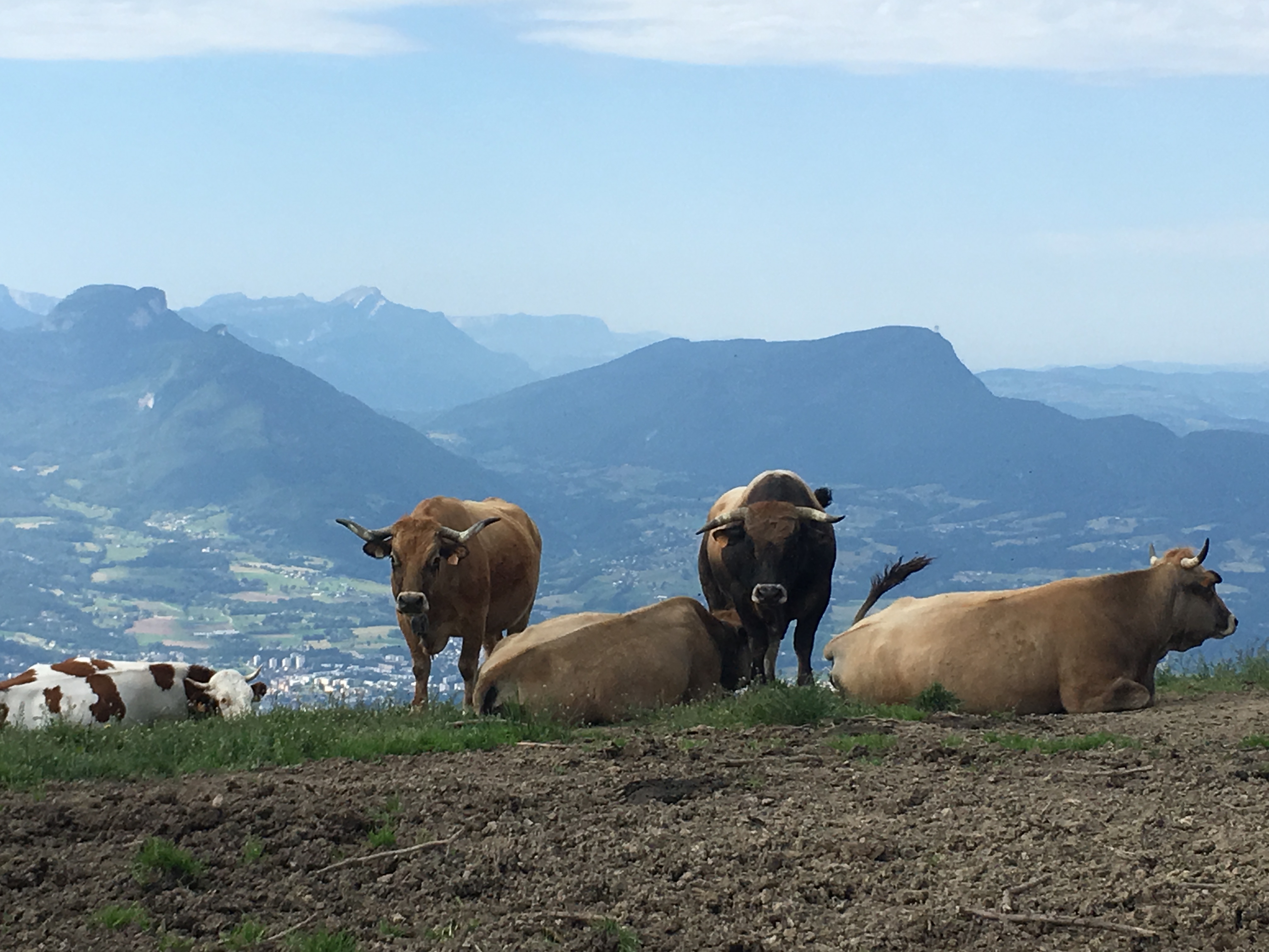Photo n° 4 de l'avis de Florence.a fait le 20/06/2019 à 10:03