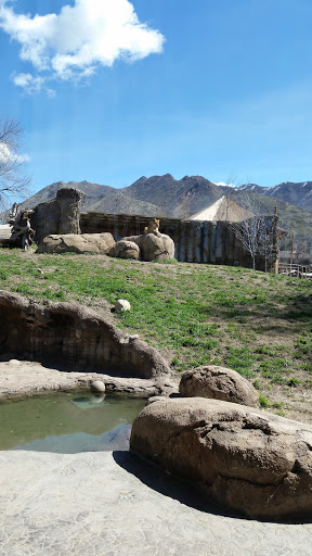 Zoo «Hogle Zoo», reviews and photos, 2600 Sunnyside Ave S, Salt Lake City, UT 84108, USA