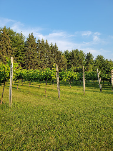 Winery «SoLu Estate Winery & Meadery», reviews and photos, W8269 County Rd F, Cascade, WI 53011, USA
