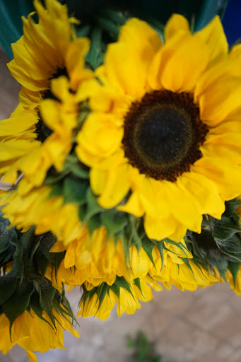 Florist «Carrollwood Florist», reviews and photos, 11745 N Dale Mabry Hwy, Tampa, FL 33618, USA